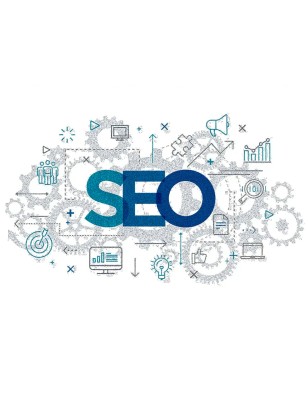 AUDIT SEO SITE WEB PREMIUM